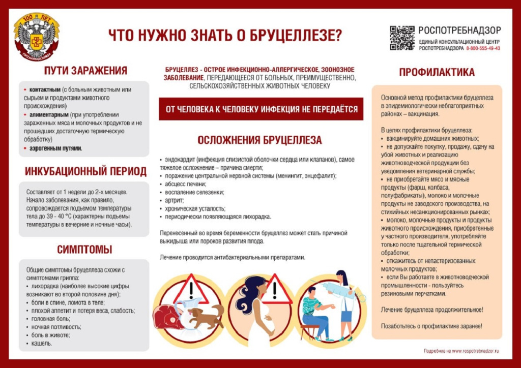 Памятка по бруцеллёзу.jpg Памятка по бруцеллёзу.jpg